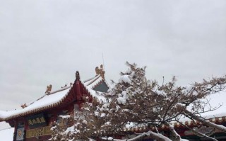 绿巨人渗透攻略（掌握关键技巧，成为极富智慧的绿巨人）