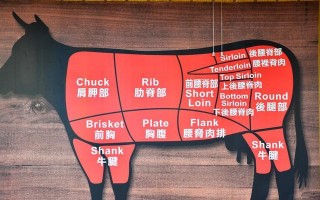 《探秘牛排屋手游攻略》（打造美味牛排，成为顶级厨师！）