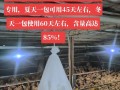 挑战立方逃生剧院（玩转逃脱之道，解开谜团无疑易如反掌！）