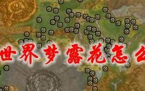 《魔兽世界蓝紫出装顺序攻略》（解密高效游戏玩法，助你称霸魔兽世界！）