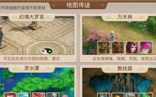 玩转问道手游（掌握关键诀窍，打造强大收藏！）