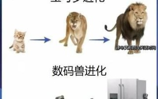 冷笑话手游攻略（用智慧应对冷笑话，打造最强攻略！）