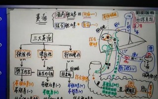 《口腔执医技能备考攻略》（全面提升口腔执医技能，轻松备考口腔专业资格考试）