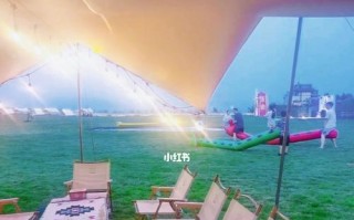 十年清风龙脉攻略（揭秘修炼清风龙脉的关键步骤与技巧）