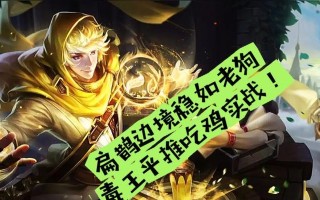 《边境之扁鹊——攻略最强打法》（通过精准治疗与高爆发伤害，让敌人无所遁形！）
