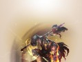 以项羽之死出装攻略——征战无双的关键利器（最新攻略揭秘，掌握胜利的筹码！）