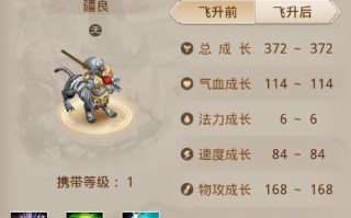 大唐飞升宝宝攻略（秘密、经验、技巧，助你飞升为大唐最强宝宝！）