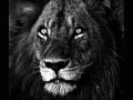 《坏男孩联盟卡牌手游攻略大揭秘》（深入解析坏男孩联盟卡牌手游的玩法技巧，助你成为顶级玩家）