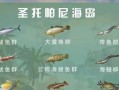 《明日之后》夏日祭钓鱼大赛攻略（最全攻略帮你夺魁）