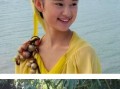 仙剑三花楹攻略（探索仙剑三花楹的剧情、角色和游戏玩法，畅游于江湖仙境）