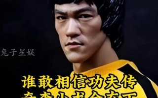 《畅爽战斗，玩转李小龙手游攻略》（李小龙手游攻略全面解析，带你一步步成为绝世高手）