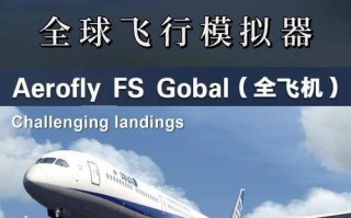 《玩转手游模拟飞行，成为航空达人！》（以手游模拟飞行为主题，教你如何成为高手！）