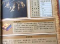 《热血传奇手游冲级攻略》（高效升级，一战成名）