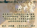 天龙八部手游新人攻略（掌握游戏技巧，冲破江湖重重困难）