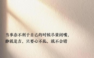 掌握以闭嘴当我丈夫的攻略（成功关键在于沟通与理解）