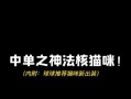 《猫咪顺风出装攻略——打造时尚宠物风格》（时尚、潮流、可爱，让猫咪成为最亮眼的明星！）