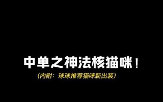 《猫咪顺风出装攻略——打造时尚宠物风格》（时尚、潮流、可爱，让猫咪成为最亮眼的明星！）