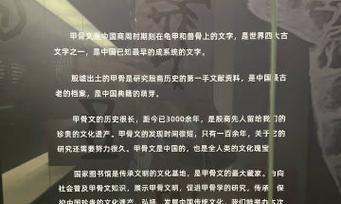 以龟甲出装铭文搭配攻略（破防、生存、控制三大方向全面提升，打造坦不破之身）-第3张图片-游技攻略库