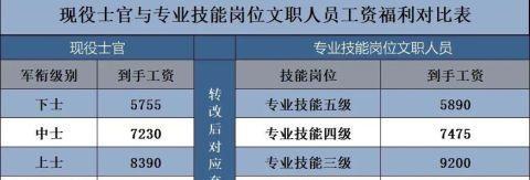 专业技能备考攻略（掌握备考技巧，轻松应对考试压力）-第3张图片-游技攻略库