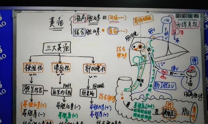 《口腔执医技能备考攻略》（全面提升口腔执医技能，轻松备考口腔专业资格考试）-第1张图片-游技攻略库