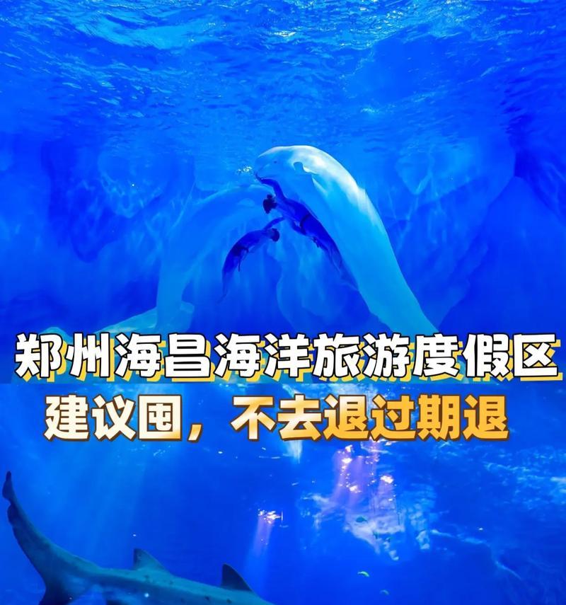 探索郑州手游攻略（郑州手游攻略分享及游戏技巧详解）-第2张图片-游技攻略库