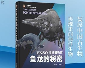 深入探索史前海洋生物进化之旅（揭开远古生物的神秘面纱，畅享海洋进化冒险之旅！）-第2张图片-游技攻略库