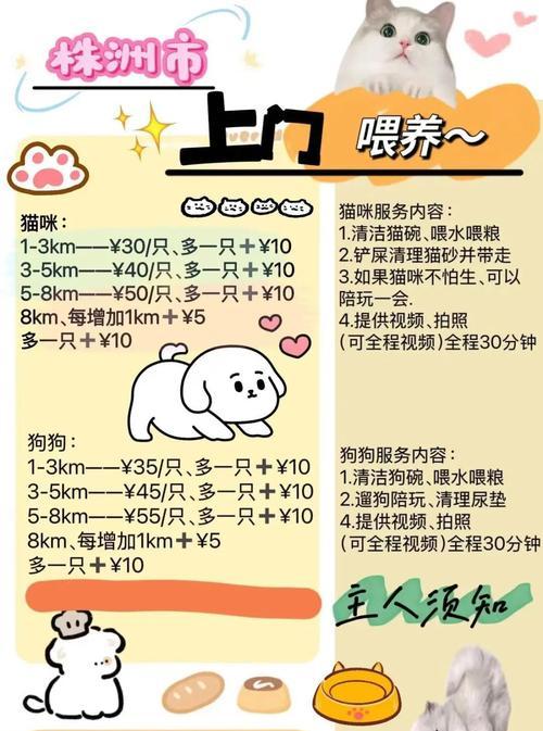 手游宠物打造攻略（以策略为核心，打造你的无敌宠物军团！）-第1张图片-游技攻略库
