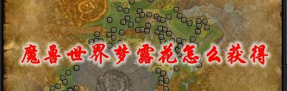 《魔兽世界蓝紫出装顺序攻略》（解密高效游戏玩法，助你称霸魔兽世界！）-第1张图片-游技攻略库